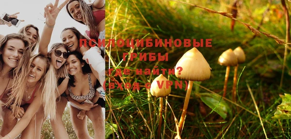 метадон Алзамай