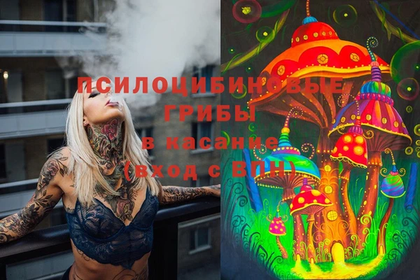 ГАЛЛЮЦИНОГЕННЫЕ ГРИБЫ Алексин
